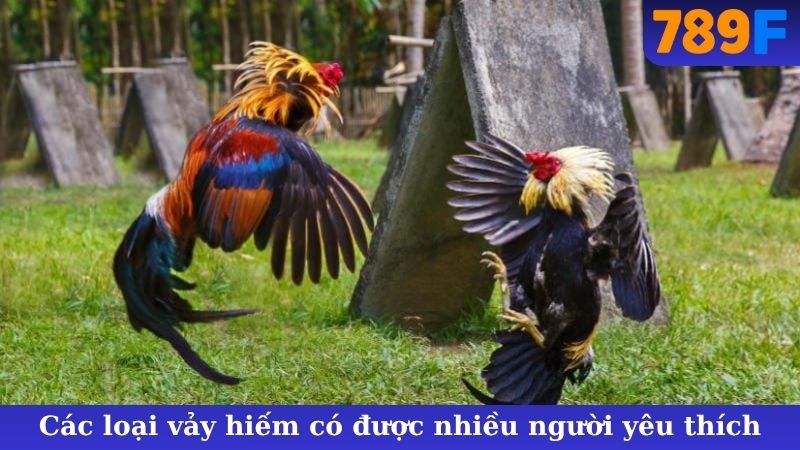 Các loại vảy hiếm có được nhiều người yêu thích