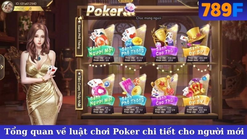 Tổng quan về luật chơi Poker chi tiết cho người mới